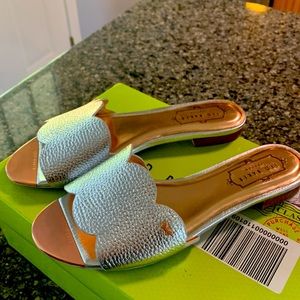 Brand-new in the box Ted Baker London slippers